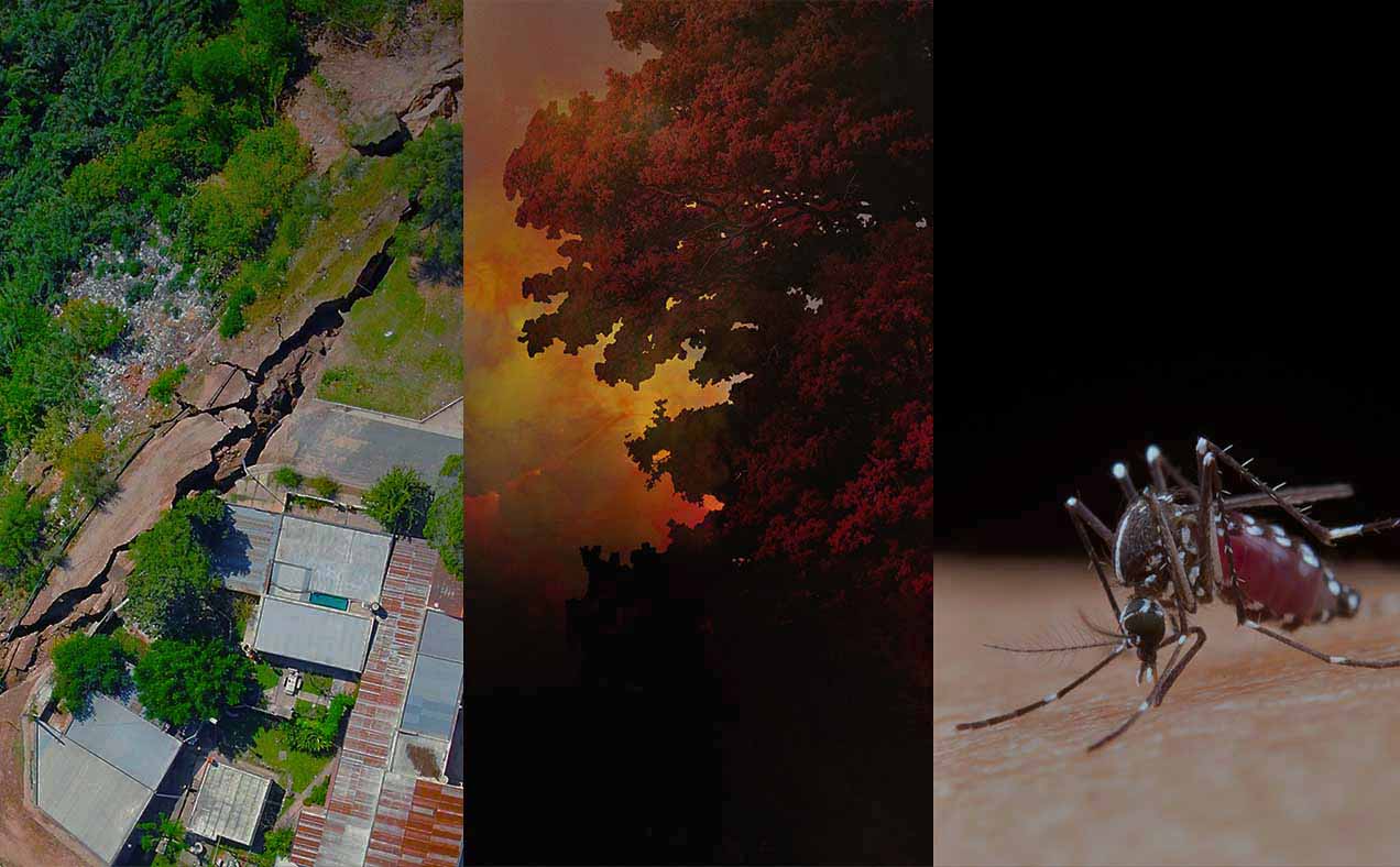 Imágenes de proyectos especiales, dengue, incendios y activación de protocolos.